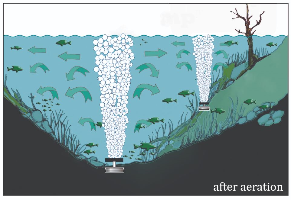 Benefits of Diffused  Pond Aeration